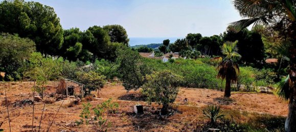 Земельный участок в Морайра, Испания № 92206 2