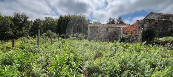 1 Schlafzimmer Haus in Oliveira de Frades, Portugal, Nr. 178602 10