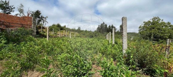 1 Schlafzimmer Haus in Oliveira de Frades, Portugal, Nr. 178602 9