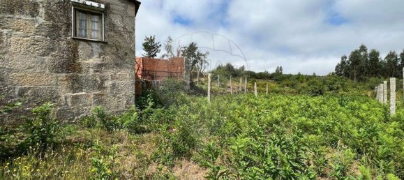 1 Schlafzimmer Haus in Oliveira de Frades, Portugal, Nr. 178602 6