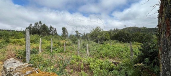 1 Schlafzimmer Haus in Oliveira de Frades, Portugal, Nr. 178602 8