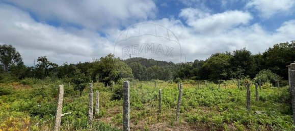 1 Schlafzimmer Haus in Oliveira de Frades, Portugal, Nr. 178602 5