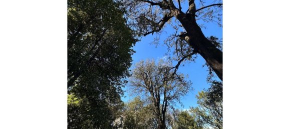 2 bedrooms Apartment in Genoa, Italy No. 381113 6