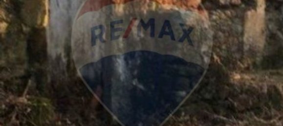 Casa de 1 dormitorio en Nisa, Portugal No. 16317 7