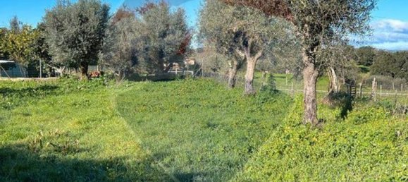 Casa de 1 dormitorio en Nisa, Portugal No. 16317 4