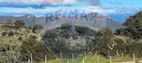 Casa de 1 dormitorio en Nisa, Portugal No. 16317 10