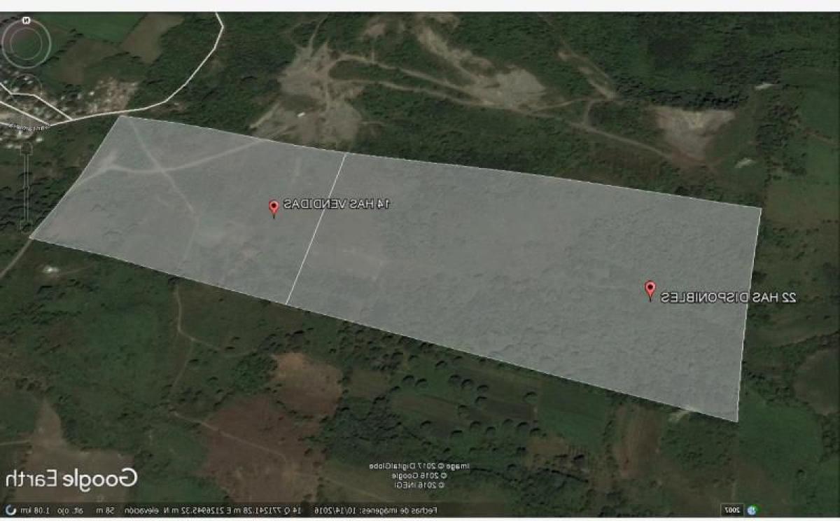 Studio à Veracruz, Mexico No. 210733