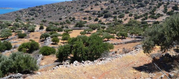 5695m² Hotel in Agios Nikolaos, Greece No. 5591 4