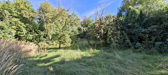  Land in Dresden, Germany No. 320333 5