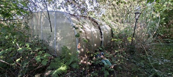  Land in Dresden, Germany No. 320333 8