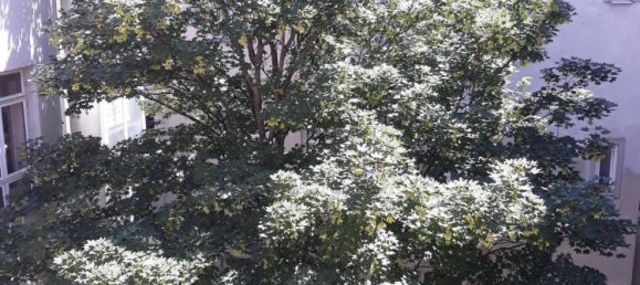 Studio in Favoriten, Austria, Nr. 150754 2