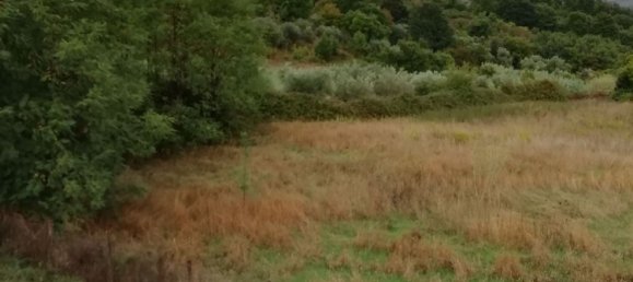 6792m² Land in Manciano, Italy No. 255742 7