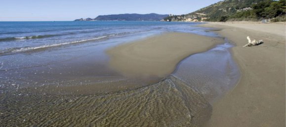 6792m² Land in Manciano, Italy No. 255742 5