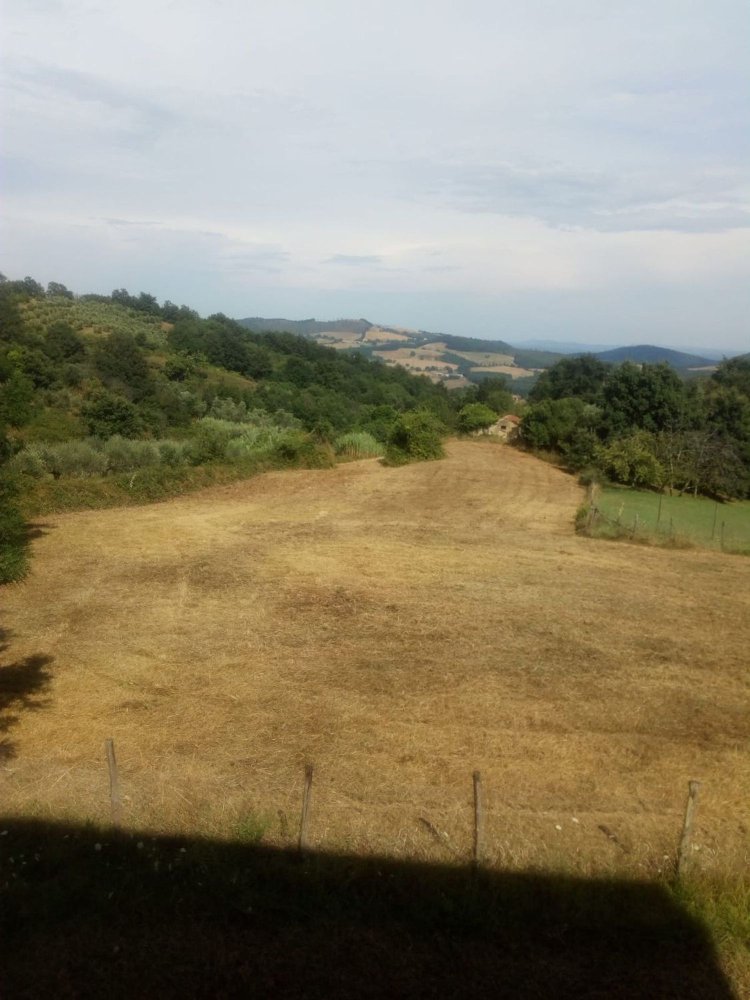 6792m² Land in Manciano, Italy No. 255742