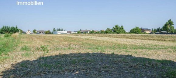 Grundstück in Deutschkreutz, Austria 6168m², Nr. 223991 6