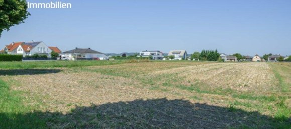 Grundstück in Deutschkreutz, Austria 6168m², Nr. 223991 5