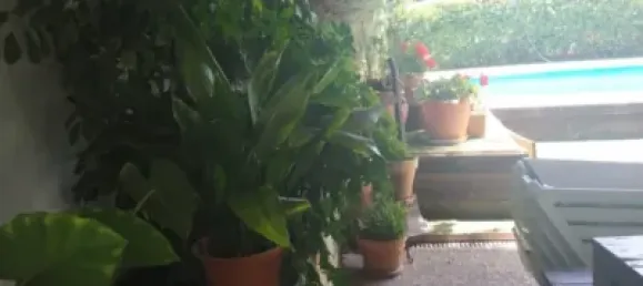 6 Schlafzimmer Haus in Granada, Spain, Nr. 174555 15