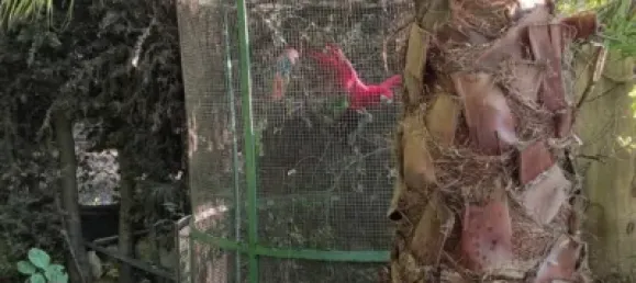 6 Schlafzimmer Haus in Granada, Spain, Nr. 174555 49