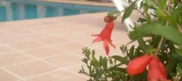 6 Schlafzimmer Haus in Granada, Spain, Nr. 174555 23