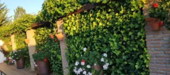 6 Schlafzimmer Haus in Granada, Spain, Nr. 174555 29