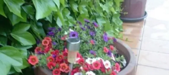 6 Schlafzimmer Haus in Granada, Spain, Nr. 174555 40