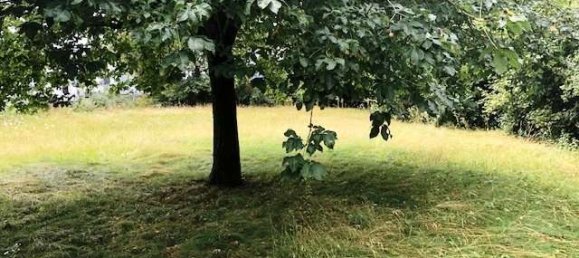 4 chambres Bâtiment à Augsburg, Germany No. 137783 5