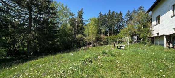  قطعة أرض في Walding, Austria رقم 253247 3