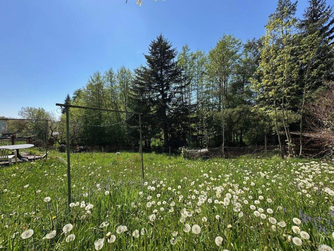  قطعة أرض في Walding, Austria رقم 253247