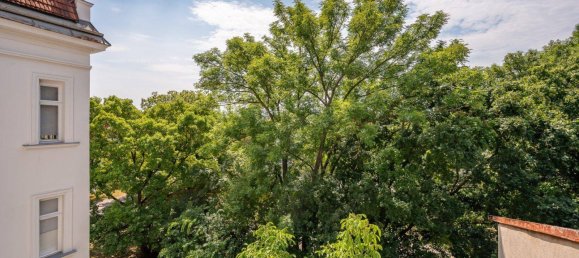 3 rooms Apartment in Meidling, Austria No. 253661 11