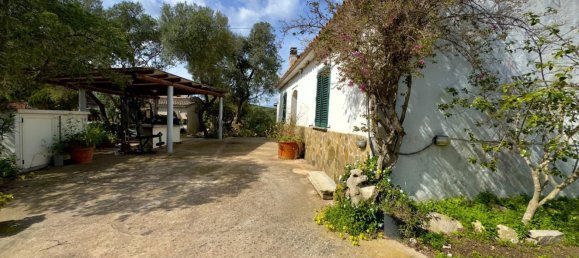 Villa de 5 habitaciónes en Olbia, Italy No. 202100 19