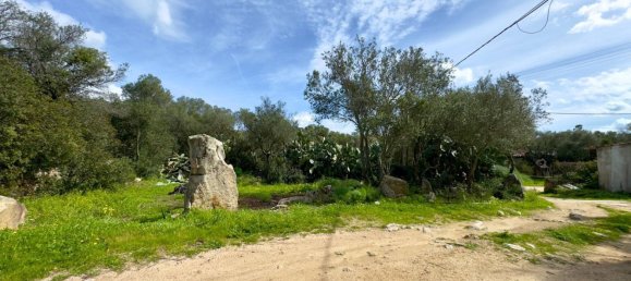 Villa de 5 habitaciónes en Olbia, Italy No. 202100 26