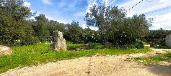 Villa de 5 habitaciónes en Olbia, Italy No. 202100 27