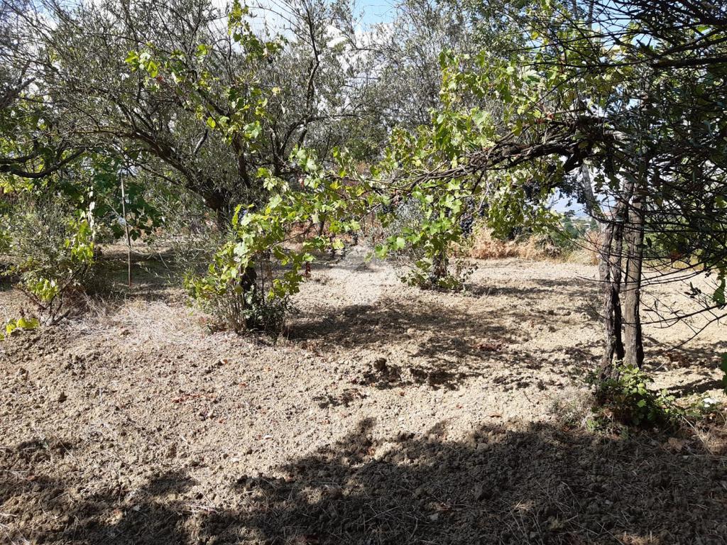 Terreno en Montesarchio, Italy 8200 m² No. 291855