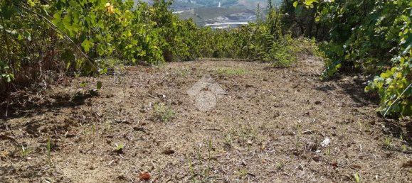 Terreno en Montesarchio, Italy 8200 m² No. 291855 6