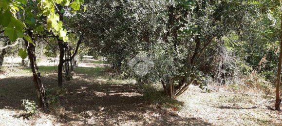 Terreno en Montesarchio, Italy 8200 m² No. 291855 9