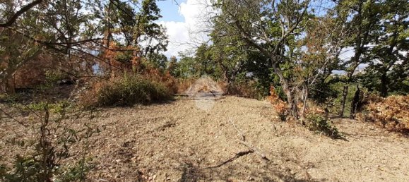 Terreno en Montesarchio, Italy 8200 m² No. 291855 10