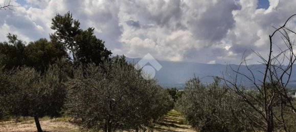 Terreno en Montesarchio, Italy 8200 m² No. 291855 5