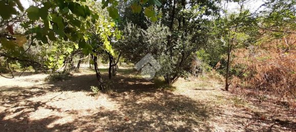 Terreno en Montesarchio, Italy 8200 m² No. 291855 7