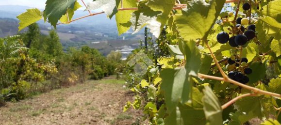 Terreno en Montesarchio, Italy 8200 m² No. 291855 8