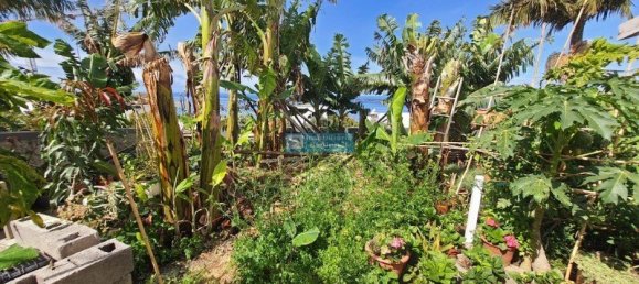 5 bedrooms Villa in Calheta, Portugal No. 142061 4