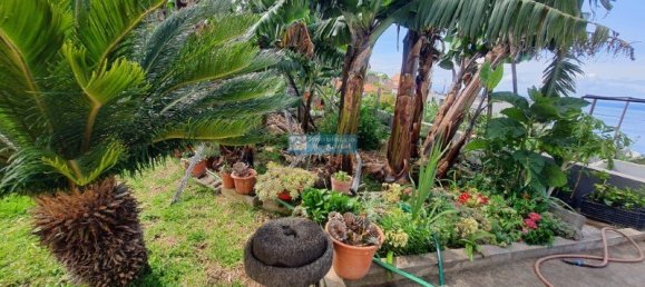 5 bedrooms Villa in Calheta, Portugal No. 142061 19