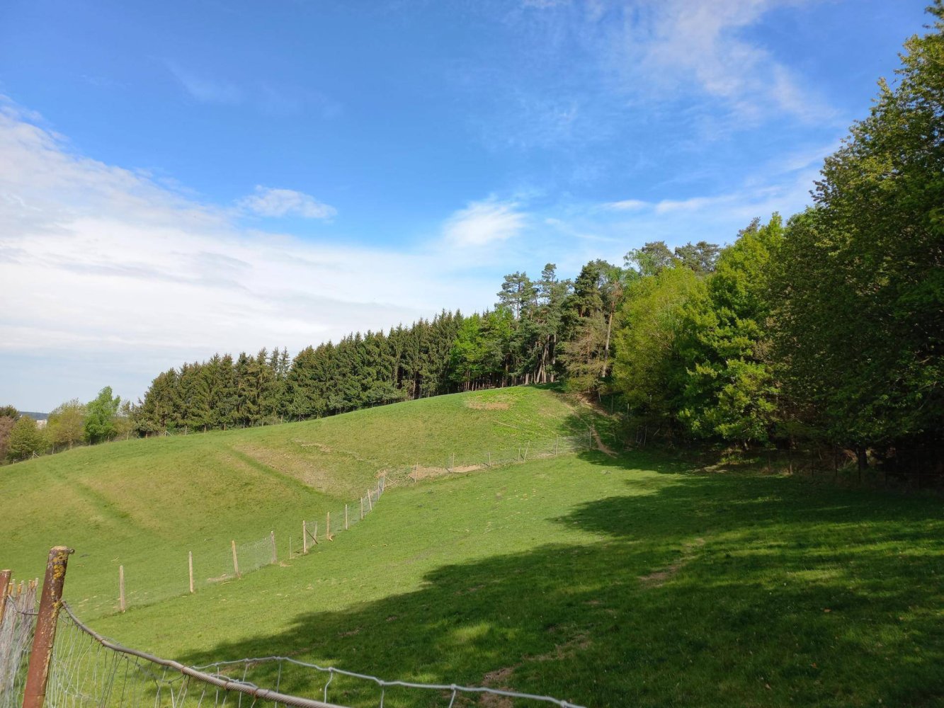 15509m² Land in Schalchen, Austria No. 164825