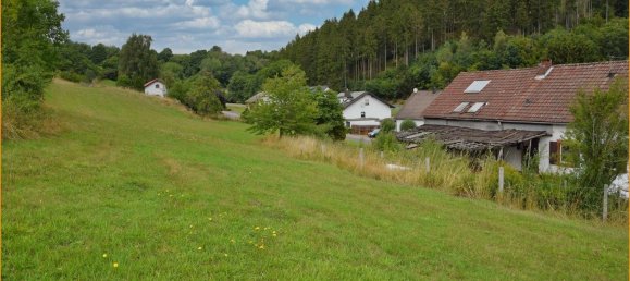 5 rooms Farm in Vulkaneifel, Germany No. 206473 3