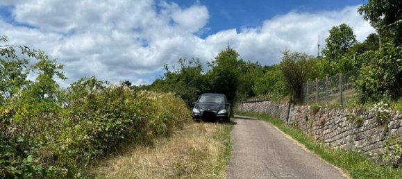 قطعة أرض في Stuttgart, Germany رقم 233003 13