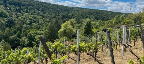 قطعة أرض في Stuttgart, Germany رقم 233003 2