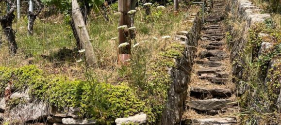 قطعة أرض في Stuttgart, Germany رقم 233003 12