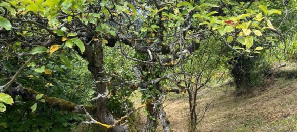 قطعة أرض في Stuttgart, Germany رقم 233003 11