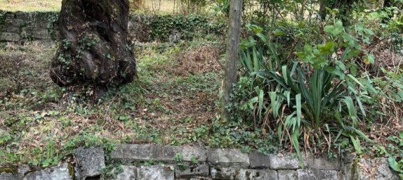 قطعة أرض في Stuttgart, Germany رقم 233003 8