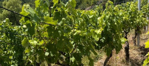 قطعة أرض في Stuttgart, Germany رقم 233003 3