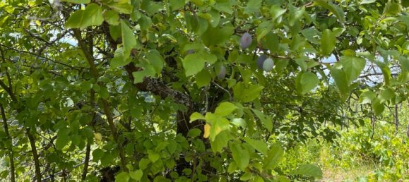 قطعة أرض في Stuttgart, Germany رقم 233003 10